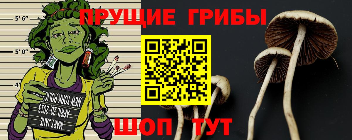 Галлюциногенные грибы Cubensis  Вход с VPN  Саянск 